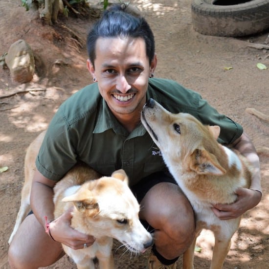 Wildlife animal care courses,Exhibited animal training,Animal care education,Distance learning wildlife care